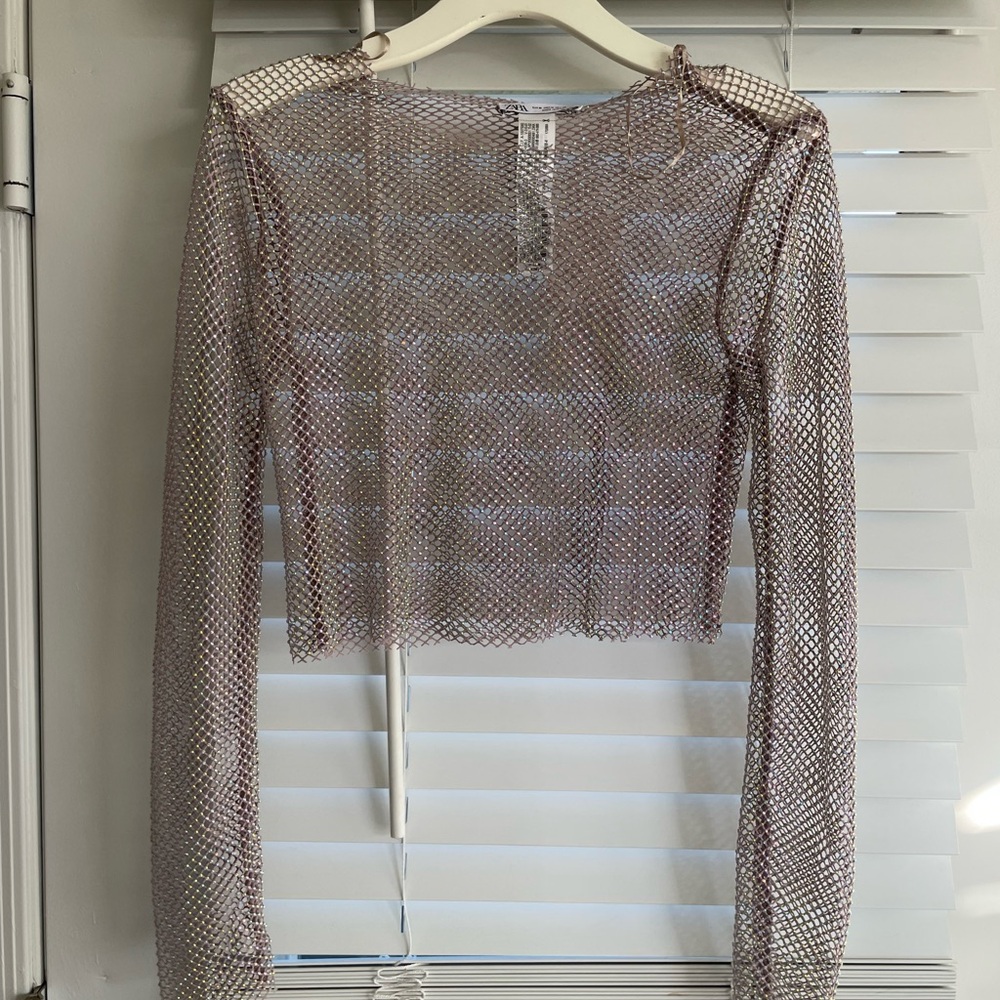 NWT Zara Mesh Shimmer Long Sleeve Top - Nude